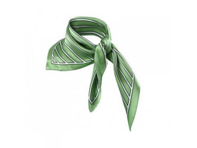 Женский шелковый платок Skoda Womans Scarf, Green от VAG Женский шелковый платок Skoda Womans Scarf, Green