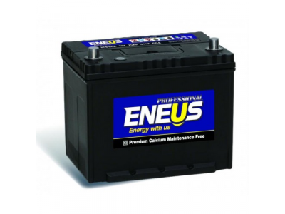 Аккумулятор 6ст - 100 (Eneus) Professional 115D31R - пп